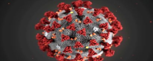 Еще 33 человека заболели коронавирусом в Магаданской области